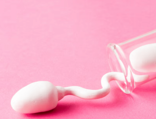 The Male Infertility Crisis: Why Sperm Counts Are Plummeting Worldwide