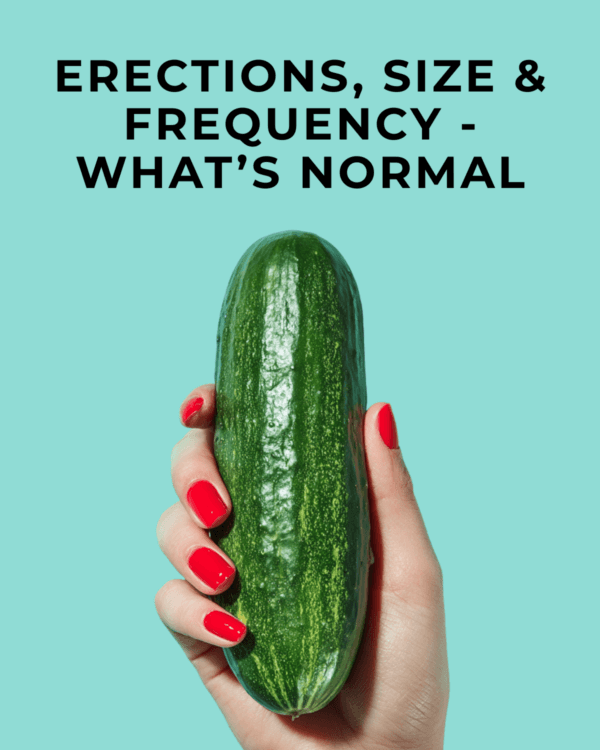 Erections, Size & Frequency—What’s Normal